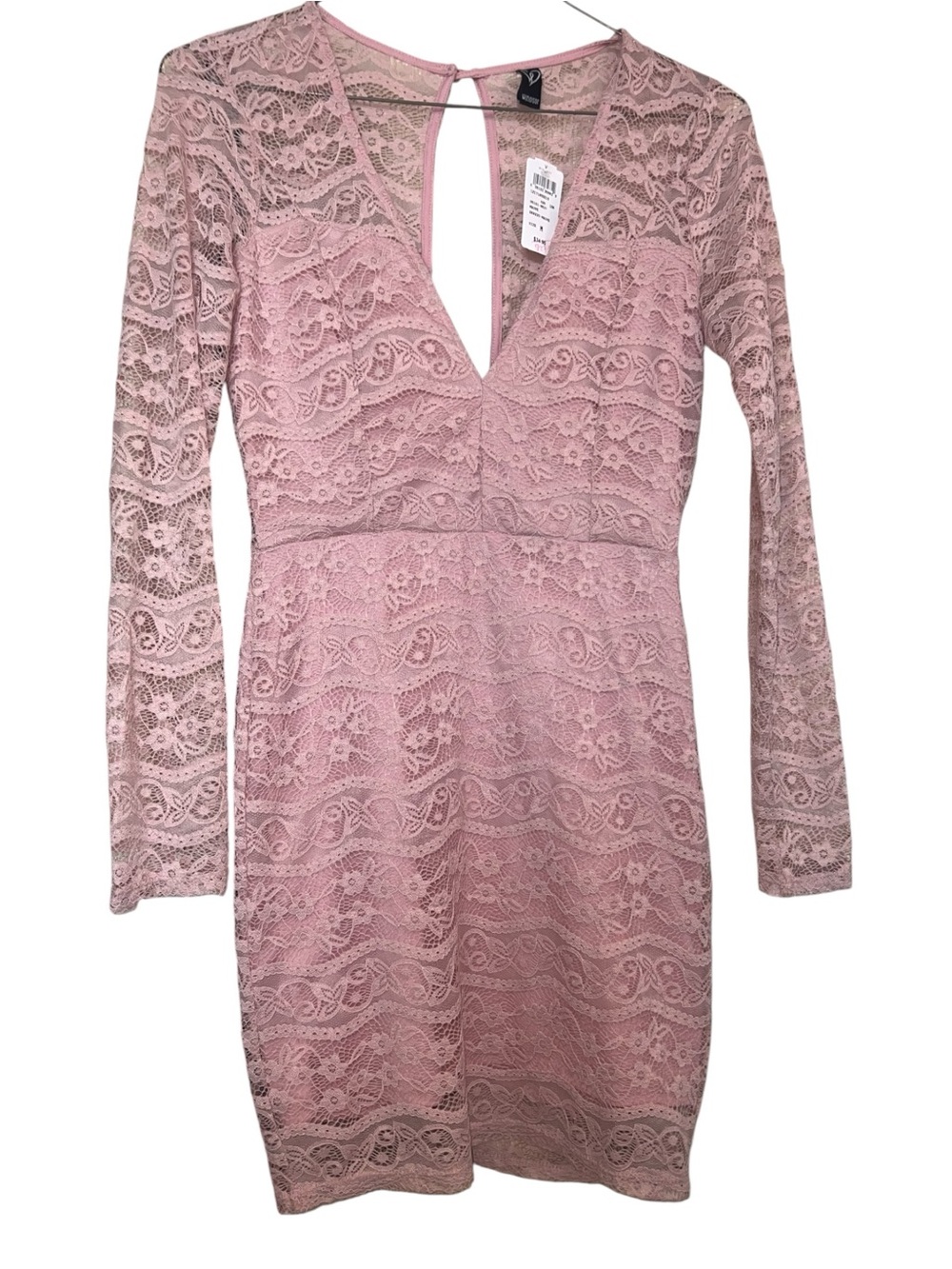 Windsor Dusty Pink Lace Long-Sleeve V-Neck Dress
